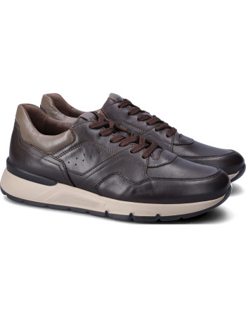 Nero Giardini sneakers brown