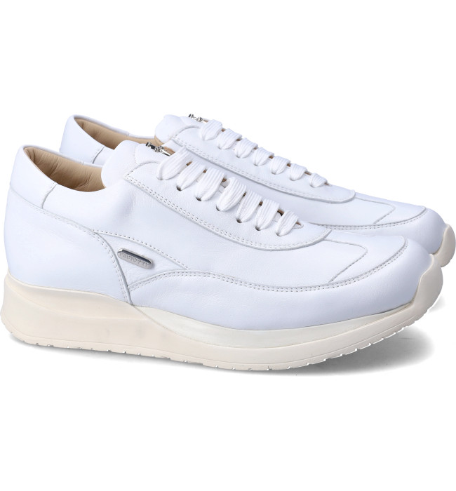 Story Paciotti sneakers donna white